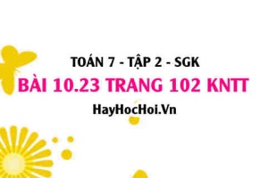 Bài 10.23 trang 102 Toán 7 Tập 2 Kết nối tri thức